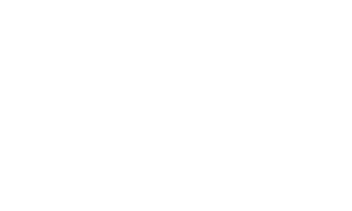 E-Commerce Search Growth: 100% Goal Achievement